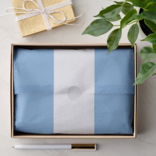 Papier Mousseline Drapeau patriotique argentin (Cadeau)