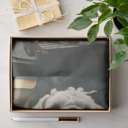 Papier Mousseline Dreadlock Dreadlock Dupoupage (Cadeau)