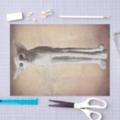 Papier Mousseline Drôle Cartoon Chat Aquarelle (Artisanat)