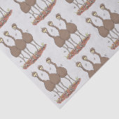 Papier Mousseline Drôle dessin animé du trio australien emu (Détail)