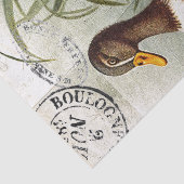 Papier Mousseline Duck Bird Découpage Floral Français Postmark Vinta (Détail)
