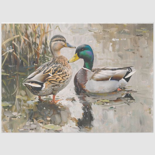 Papier Mousseline Duck et Mallard Faune Peinture Découpage (Recto)