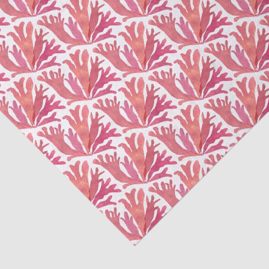 Papier Mousseline Dulse (Détail)