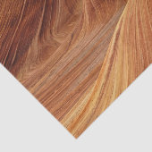 Papier Mousseline Dunes De Sable (Détail)