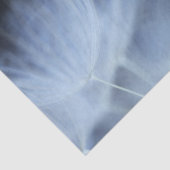 Papier Mousseline Duvet de pissenlit (Détail)