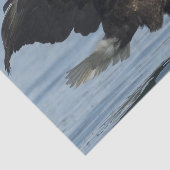 Papier Mousseline Eagle à l'approche (Détail)