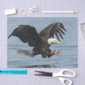 Papier Mousseline Eagle à l'approche (Artisanat)