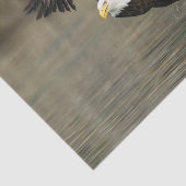 Papier Mousseline Eagle chauve explosif (Détail)