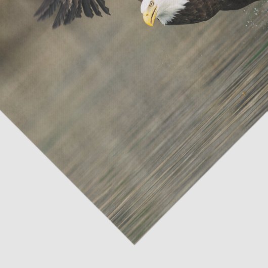 Papier Mousseline Eagle chauve explosif (Détail)