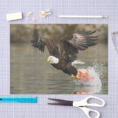 Papier Mousseline Eagle chauve explosif (Artisanat)