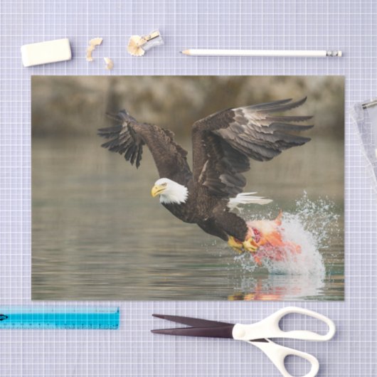 Papier Mousseline Eagle chauve explosif (Artisanat)