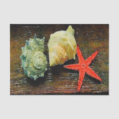 Papier Mousseline eau de plage coquillage étoile de mer coquillages (Recto)