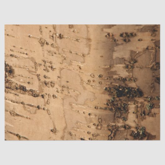 Papier Mousseline Écorce (Recto)