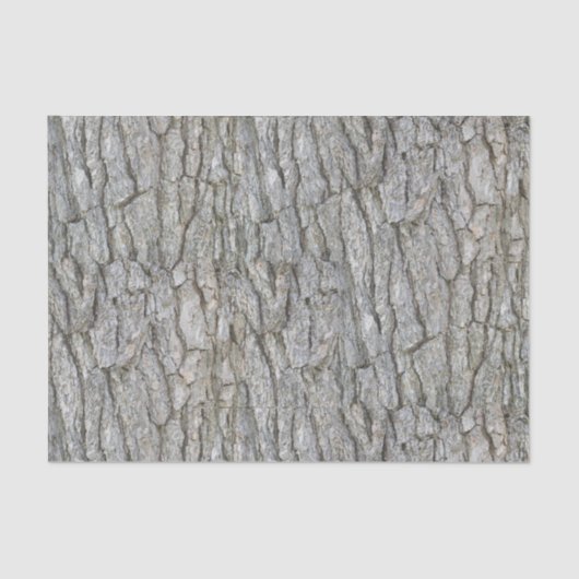 Papier Mousseline Écorce d'arbre grise rustique (Recto)