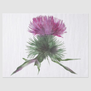 Papier Mousseline Écossais Highland Thistle Watercolor
