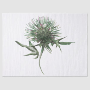 Papier Mousseline Écossais Highland Thistle Watercolor