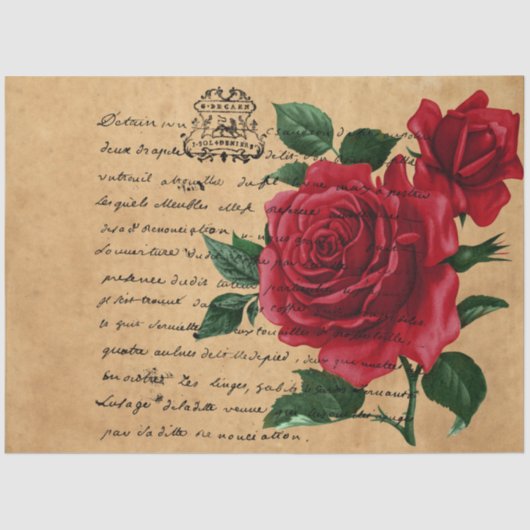 Papier Mousseline Écriture française et Red Rose Series Design 8 (Recto)