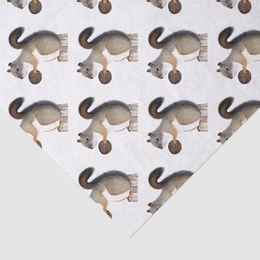 Papier Mousseline Écureuil (Détail)