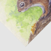 Papier Mousseline Écureuil (Détail)