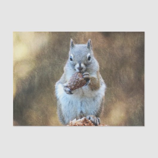 Papier Mousseline Écureuil au cône de pin (Recto)