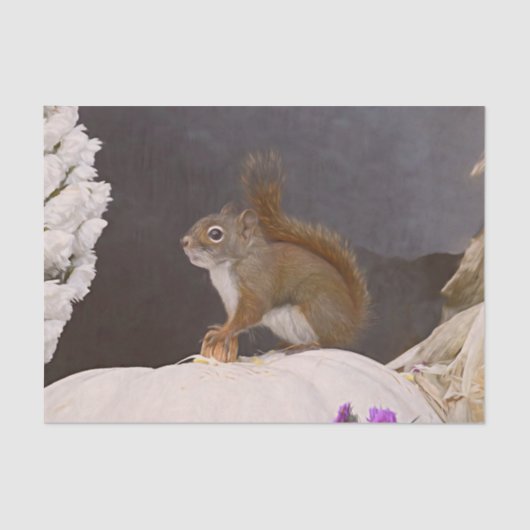 Papier Mousseline Écureuil De Bois Assis Sur Le Citrouille (Recto)