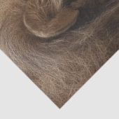 Papier Mousseline Écureuil de Lion de découpage Pause entre les batt (Détail)