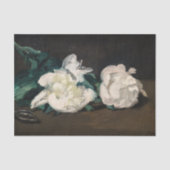 Papier Mousseline Edouard Manet - Branche des pivoines blanches, sec (Recto)
