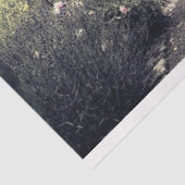 Papier Mousseline Eerie Victorian Garden Path Decoupage Tissu Papier (Détail)