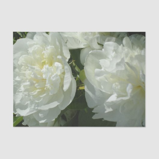 Papier Mousseline Elégant blanc peony floral blanc photo (Recto)