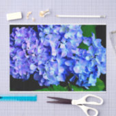 Papier Mousseline Élégant bleu violet clair magenta hydrangée floral (Artisanat)