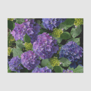 Papier Mousseline Elégant bleu violet magenta vert hydrangée florale