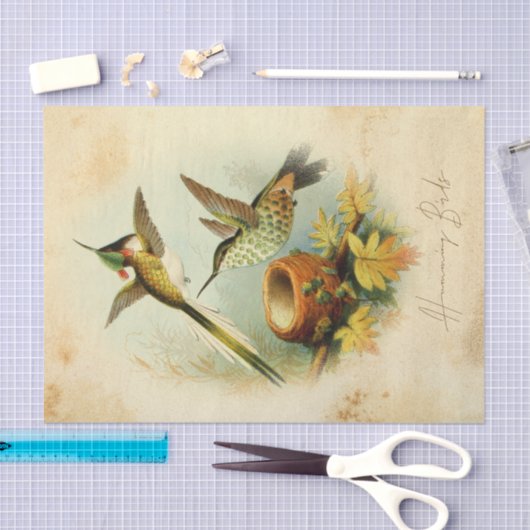 Papier Mousseline Élégant colibri (Artisanat)