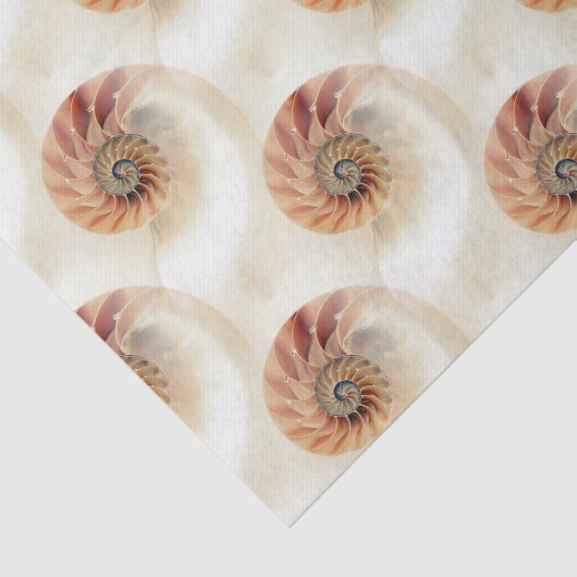 Papier Mousseline Élégant Motif Shell (Détail)