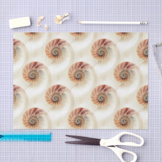Papier Mousseline Élégant Motif Shell (Artisanat)