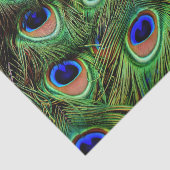 Papier Mousseline Elégant Oiseau Turquoise Plumes de paon vert (Détail)