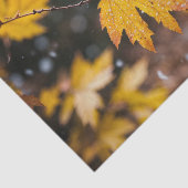 Papier Mousseline "Élégant papier de tissus à motifs" (Détail)