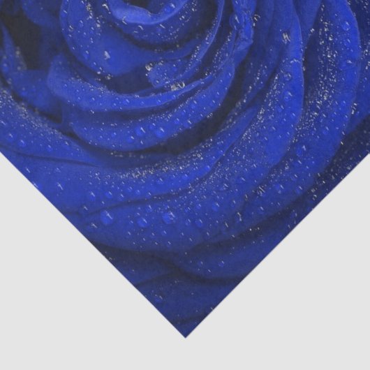 Papier Mousseline Elégant papier rose bleu (Détail)