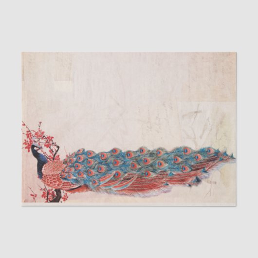 Papier Mousseline Elégant Peacock (Recto)