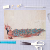 Papier Mousseline Elégant Peacock (Artisanat)