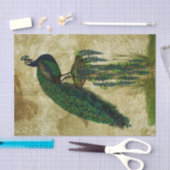 Papier Mousseline Elégant Peacock (Artisanat)