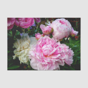 Papier Mousseline Elégant rose peony blanc floral jardin photo