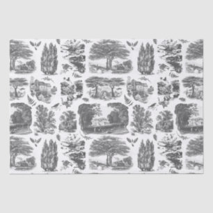 Papier Mousseline Elégant Vintage Black White Country French Toile