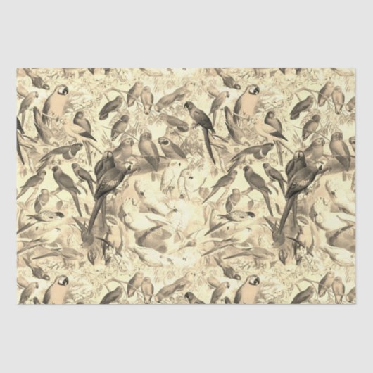 Papier Mousseline Elégant Vintage Tropical Birds Parrots Découpage (Recto)