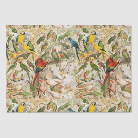 Papier Mousseline Elégant Vintage Tropical Birds Parrots Découpage (Recto)