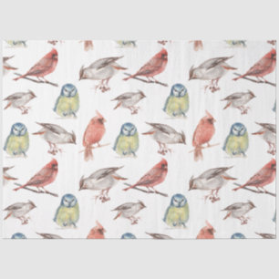 Papier Mousseline Elégante aquarelle Vintage Chouettes cardinales Oi
