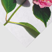 Papier Mousseline Elégante florales roses hydrangée rose (Détail)
