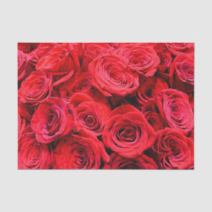 Papier Mousseline Elégante rose rouge roses et photo florale