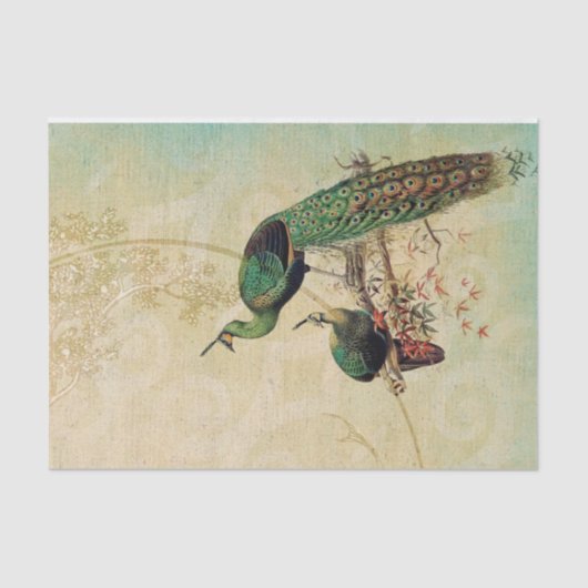 Papier Mousseline Elégants Peacocks Vintages (Recto)