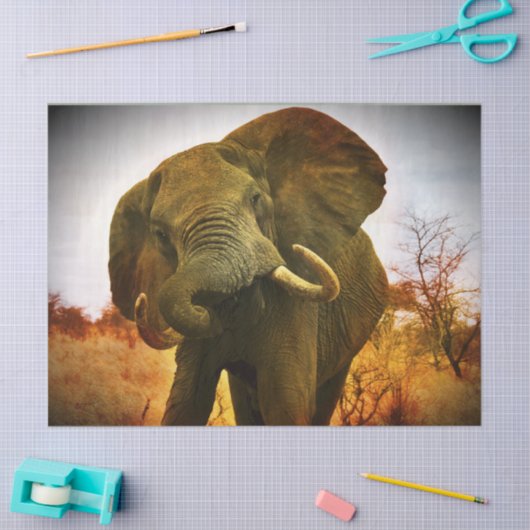 Papier Mousseline Eléphant africain (Artisanat)