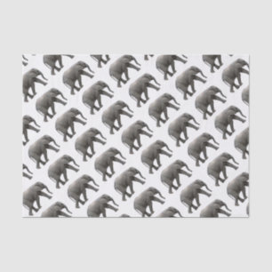 Papier Mousseline Eléphant africain